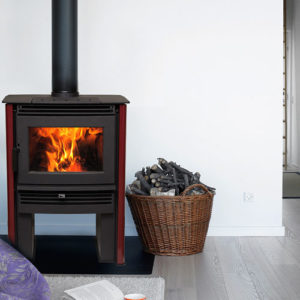 Pacific Energy Neo 1.6 Wood Stove