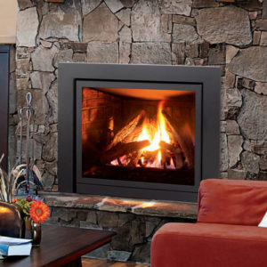 Enviro Q2 Fireplace