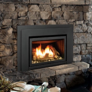 Enviro E20 Fireplace