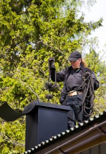 Niagara Falls Chimney Sweep