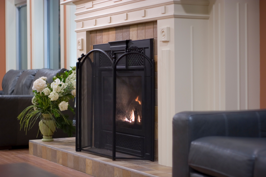 Modern Fireplace Accessories