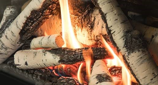Birch Logs